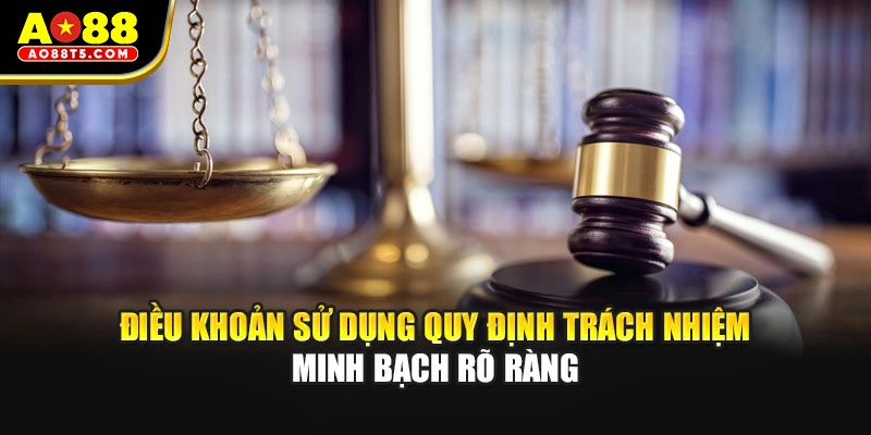Điều khoản sử dụng quy định trách nhiệm minh bạch rõ ràng