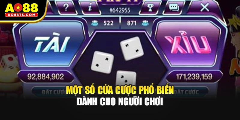 Một số cửa cược phổ biến dành cho người chơi
