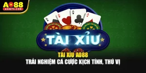 Tài Xỉu AO88 – Trải Nghiệm Cá Cược Kịch Tính, Thú Vị